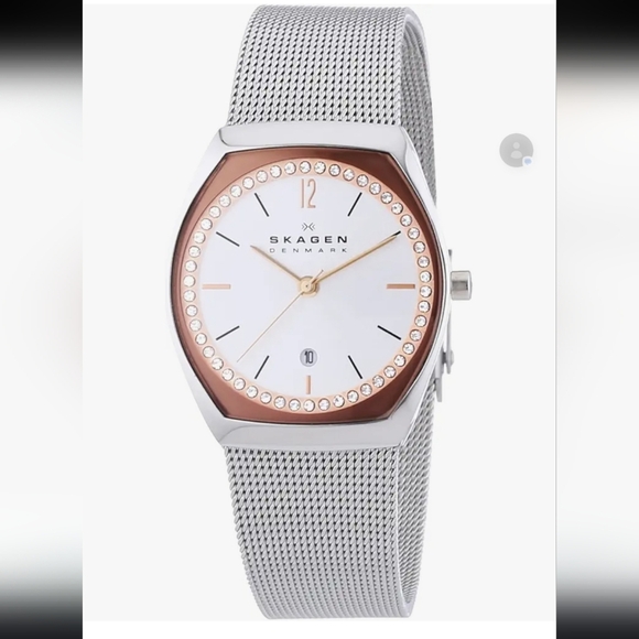 Skagen Asta Stainless Steel Mesh Watch w/Rose Face Date - Picture 10 of 10